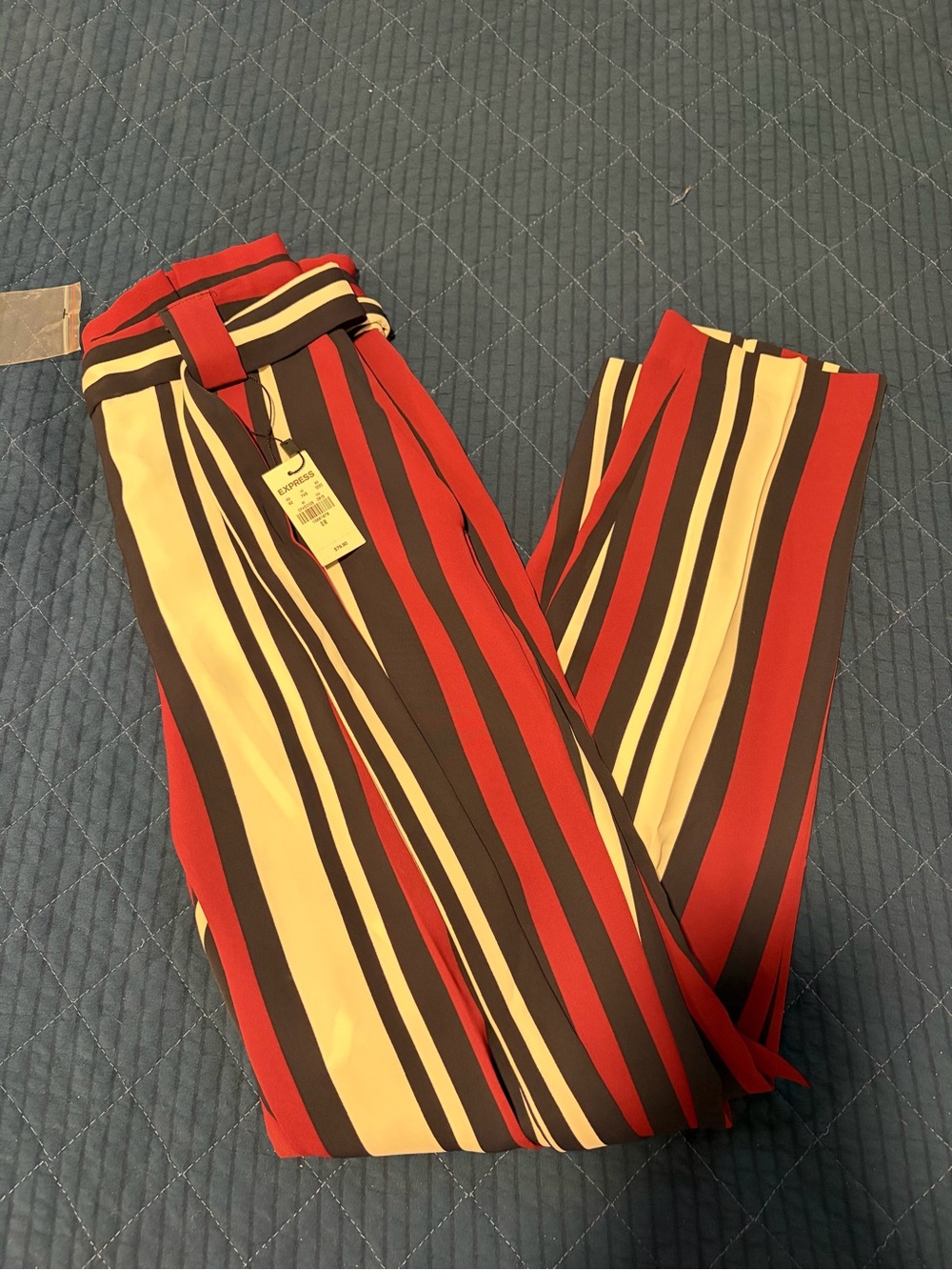 Express Dress Pants